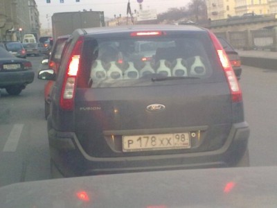 жопки.jpg