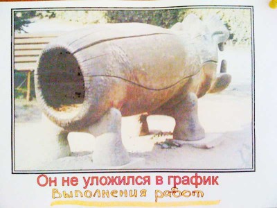 IMG_0407.jpg