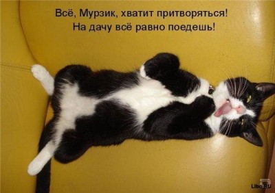 adefb1f85920cbbc905f6288e9fbd92c.jpg