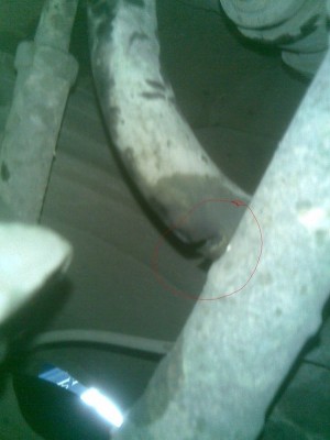 _var_www_temp_2010_10_14_16_25_IEbU3l9qowhqmueTRS.jpg