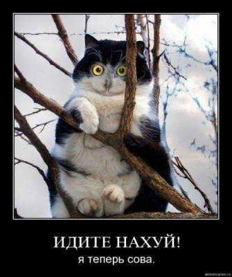 x_5883ffe0.jpg