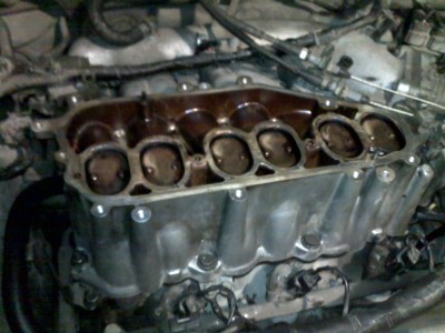 03032011564.jpg