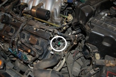 DSC_8586_1.JPG