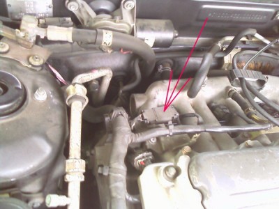 Lambda hinten1.jpg