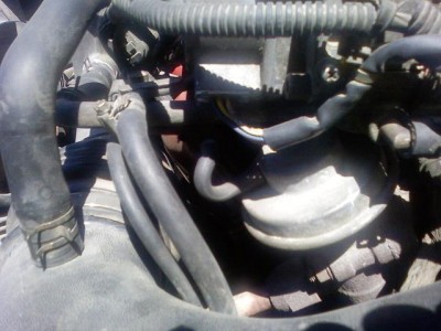 PIC-0009.jpg