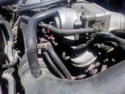 PIC-0010.jpg