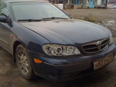 IMG_0771_800600.jpg