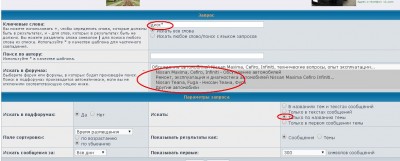 поиск.JPG