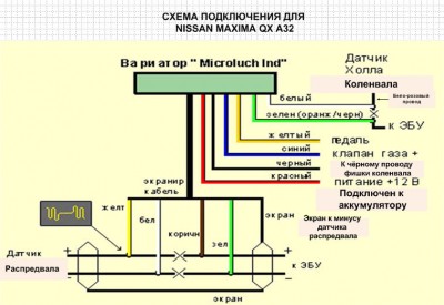Wiring Nissan Maxima.jpg
