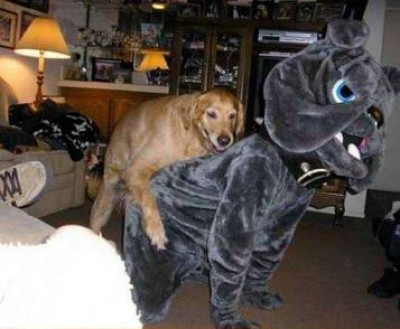 dogging_.JPG