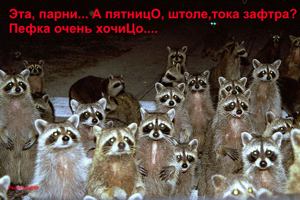 пятница.jpg