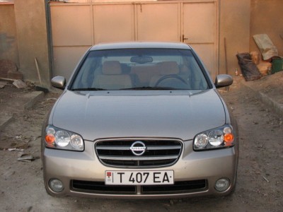 IMG_0681_resize.JPG