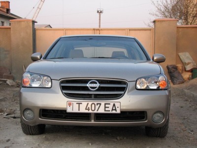 IMG_0680_resize.JPG