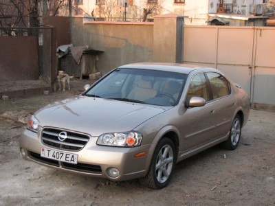 IMG_0679_resize.JPG
