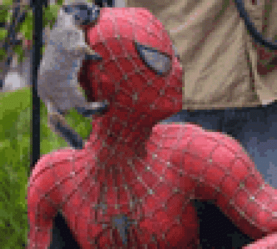 368599.gif