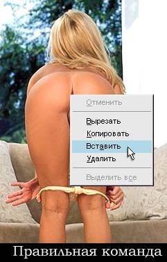 vstavit.jpg