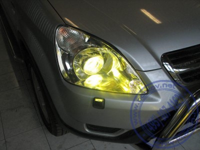 crv_n_yellow.jpg