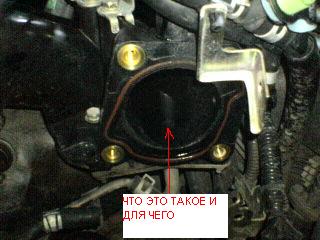 вот такая хреновина