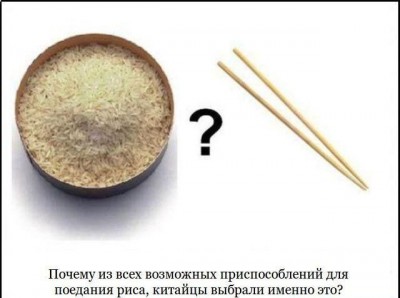 .jpg
