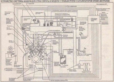 pic1.jpg