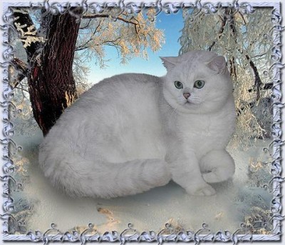 таким мы будем...