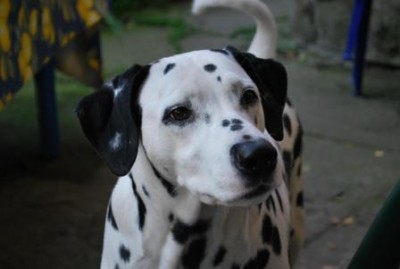 DSC_0014.JPG