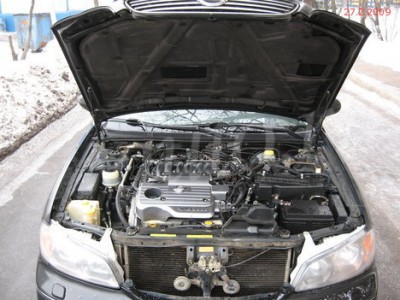 7dac6d81.jpg